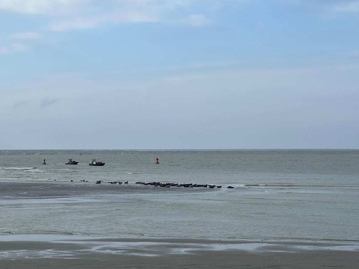 Plage A 50M Appartement Reves Etoiles Villa Les Bains De Mers 외부 사진